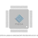 CPS19-LA00A10-SNCSNCNF-RI0YBVAR-W1011-S