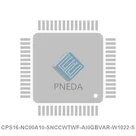 CPS16-NC00A10-SNCCWTWF-AI0GBVAR-W1022-S