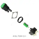 A16L-TGM-12-1