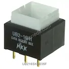 UB216SKG035F