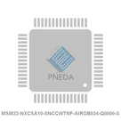 MSM22-NXCSA10-SNCCWTNF-AIRGB024-Q0000-S