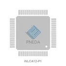WLCA12-P1