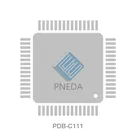PDB-C111