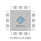 KAI-11002-AAA-CR-B2