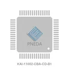 KAI-11002-CBA-CD-B1
