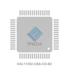 KAI-11002-CBA-CD-B2