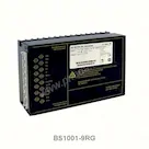 BS1001-9RG