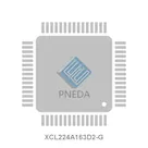 XCL224A163D2-G