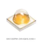 GW CS8PM1.CM-KQKS-XX58-1