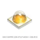 GW CS8PM1.EM-KTLP-A838-1-350-R18
