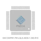 GW CS8PM1.PM-LQLS-A636-1-350-R18