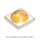 GW CSHPM1.CM-KQKS-XX58-1