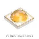GW CSHPM1.CM-KRKT-A838-1