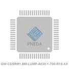 GW CSSRM1.BM-LUMP-A838-1-700-R18-XX