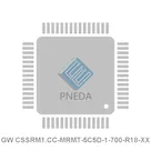 GW CSSRM1.CC-MRMT-5C5D-1-700-R18-XX