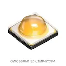 GW CSSRM1.EC-LTMP-5YC8-1