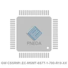 GW CSSRM1.EC-MSMT-6S7T-1-700-R18-XX