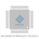 GW CSSRM1.PC-MFNQ-5H7I-1-700-R18-XX