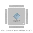 GW CSSRM1.PC-MUNQ-5O8Q-1-700-R18