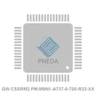 GW CSSRM2.PM-M9N1-A737-0-700-R33-XX