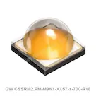 GW CSSRM2.PM-M9N1-XX57-1-700-R18