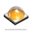 GW CSSRM2.PM-MFN2-A636-1
