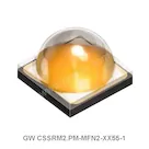 GW CSSRM2.PM-MFN2-XX55-1