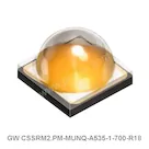 GW CSSRM2.PM-MUNQ-A535-1-700-R18