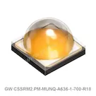 GW CSSRM2.PM-MUNQ-A636-1-700-R18