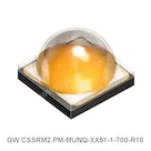 GW CSSRM2.PM-MUNQ-XX51-1-700-R18