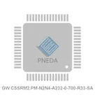 GW CSSRM2.PM-N2N4-A232-0-700-R33-SA