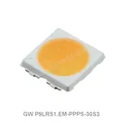 GW P9LRS1.EM-PPPS-30S3