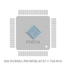 GW PUSRA1.PM-MFN2-A737-1-700-R18