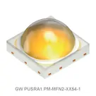 GW PUSRA1.PM-MFN2-XX54-1