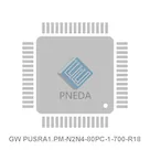 GW PUSRA1.PM-N2N4-80PC-1-700-R18