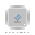 GW SBLMA1.CM-GRGT-A737-1