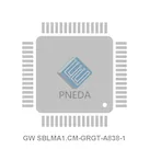 GW SBLMA1.CM-GRGT-A838-1