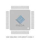 GW SBLMA1.CM-GRGT-XX56-1