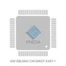 GW SBLMA1.CM-GRGT-XX57-1