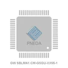 GW SBLMA1.CM-GSGU-XX55-1