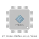 GW CSSRM2.CM-M4M6-A535-1-700-R18
