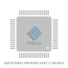 GW PUSRA1.PM-N1N3-XX57-1-700-R18