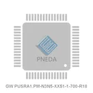 GW PUSRA1.PM-N3N5-XX51-1-700-R18
