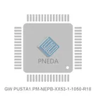 GW PUSTA1.PM-NEPB-XX53-1-1050-R18