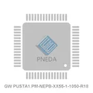 GW PUSTA1.PM-NEPB-XX55-1-1050-R18