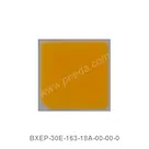 BXEP-30E-163-18A-00-00-0