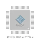 CN12223_BERTHA1-TYPE4-M