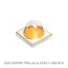 GW CS8PM1.PM-LSLU-XX53-1-350-R18