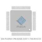 GW PUSRA1.PM-N3N5-XX57-1-700-R18-XX
