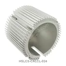 HSLCS-CALCL-024